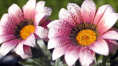 Archigraph 1 Archigraph