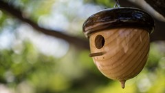 Archigraph Reza farsipack