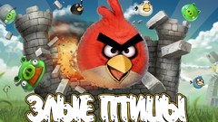 Archigraph Reza farsipack