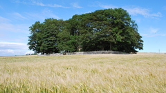 Architecture buildings