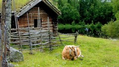 Architecture buildings