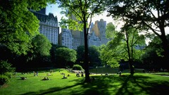 architecture Central Park new york city People Trees Park USA