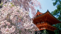 Architecture cityscapes