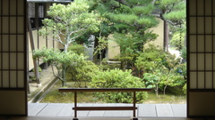 Architecture design Green