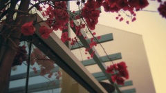 Architecture photography Art