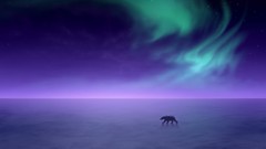 Arctic Aura Polar Bears