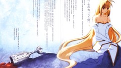 Arcueid brunestud tsukihime