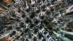 Are those Your shots