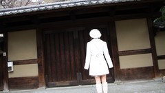 Area Japanese models