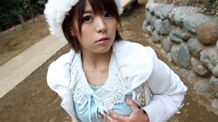 Area Japanese models