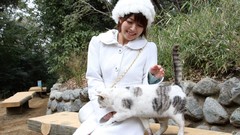 Area Japanese models