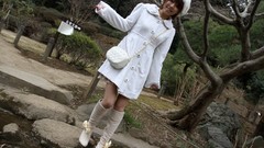 Area Japanese models