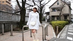 Area Japanese models