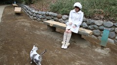 Area Japanese models