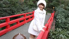 Area Japanese models