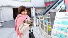 Area Japanese models