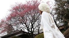 Area Japanese models