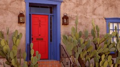 Arizona multicolor tucson