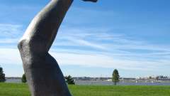 Arm high The awakening