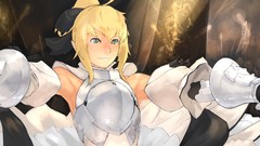 Armor saber fate series Fate Unlimited Codes