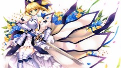 Armor saber saber lily fate series Fate Unlimited Codes