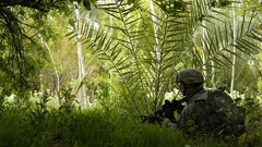 Army military weaponry