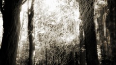 Army soldiers Poland communism historic World War II Polish 