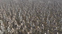 Army Undead skeletons 1024x768