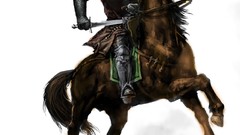 Art warrior rider Armored knight painted