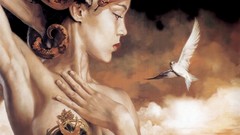 Artistic Birds medusa Pigeons