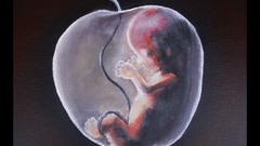 Artwork apples fetus