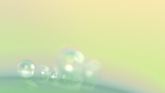 artwork digital art abstract water drops