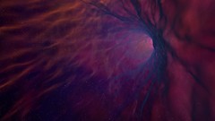 Artwork digital art complex magazine