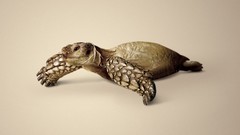 Artwork digital art fantasy art