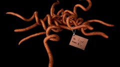 Artwork digital art fantasy art