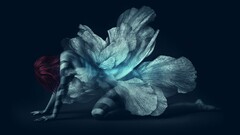 artwork fantasy art Women redhead Fairies wings fantasy girl