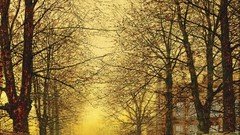 Artwork John Atkinson Grimshaw