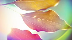 Artwork macro leaves