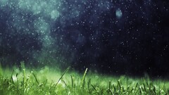 artwork nature rain grass