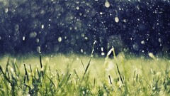 artwork nature rain grass water drops