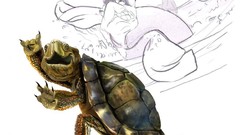 Artwork Photo manipulation