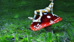 Artwork Photo manipulation