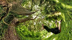 Artwork Photo manipulation