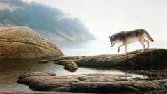 Artwork rivers Wolves