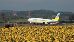 Asahikawa Airport high architecture