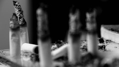 Ash Cigarettes blurred grayscale