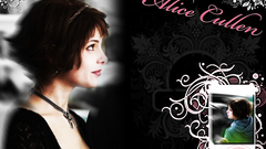 Ashley greene Celebrity