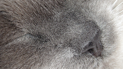 Ashleywall This is My