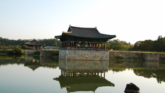 Asian architecture reflections south