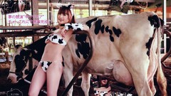 Asians Cows underboobs boobs